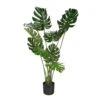 Naturae Decor 47 In. H Plastic Artificial Monstera Green -Abbo Garden Shop 3360586c 5f64 40a2 aab8 03366a1b9d6d