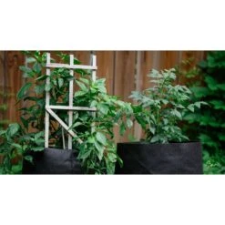 Smart Pot Geo-Thermal Fabric Grow Bag Planter Black -Abbo Garden Shop 3e4a5fbb 2db6 4593 8db8 0c196cfa036f