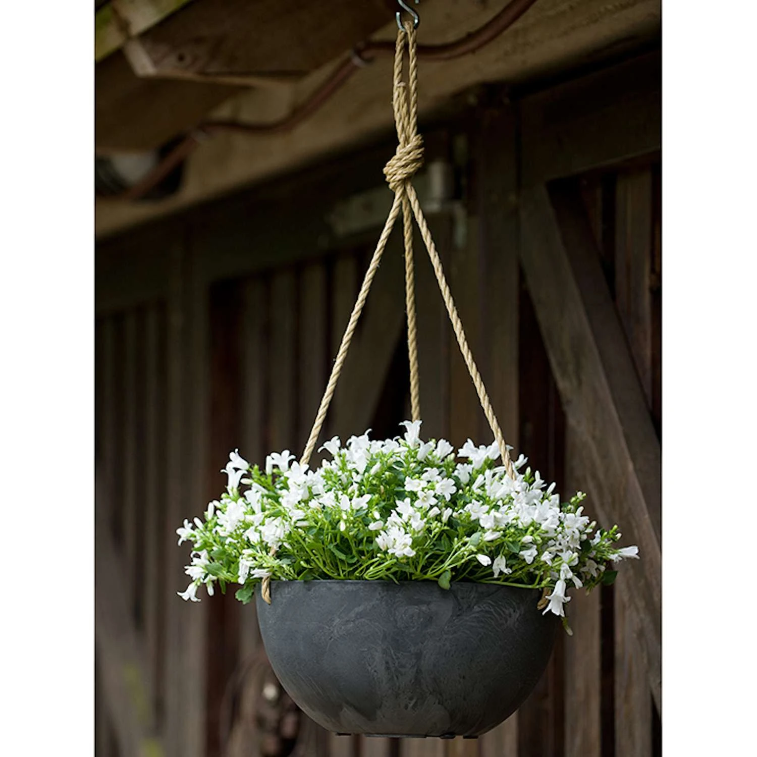 Novelty ArtStone 4.8 In. H X 9.9 In. W X 9.9 In. D X 9.9 In. D Resin Napa Hanging Planter Black 6 Novelty ArtStone 4.8 In. H X 9.9 In. W X 9.9 In. D X 9.9 In. D Resin Napa Hanging Planter Black - Image 4
