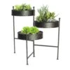 Panacea 20.75 H Black Metal Plant Stand -Abbo Garden Shop 5406a9fd 217b 4521 98ff 228b55b39c08