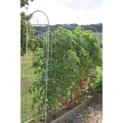 Trellis King 30 In. H Gray Steel Trellis -Abbo Garden Shop 5bdc87c8 3294 4a89 9704 3e59ea92a85e
