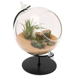 Panacea 7 In. H X 5 In. W X 4.5 In. D Glass Desktop Terrarium With Stand Black