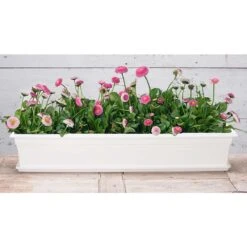 Novelty 6.5 In. H X 8 In. W X 36 In. D X 36 In. D Plastic Countryside Flower Box White 11 Novelty 6.5 In. H X 8 In. W X 36 In. D X 36 In. D Plastic Countryside Flower Box White -Abbo Garden Shop 6b9890c6 8017 4622 a064 d223eba48bb7