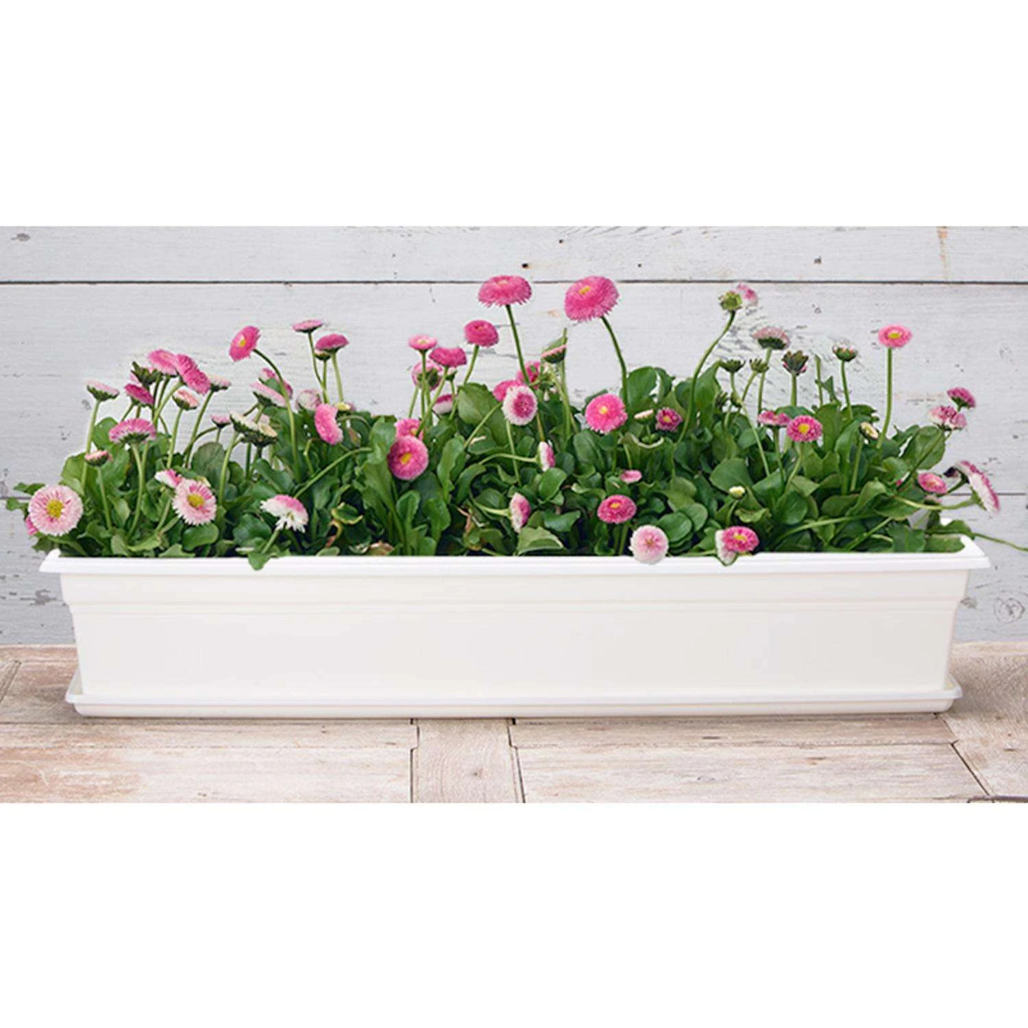 Novelty 6.5 In. H X 8 In. W X 36 In. D X 36 In. D Plastic Countryside Flower Box White 5 Novelty 6.5 In. H X 8 In. W X 36 In. D X 36 In. D Plastic Countryside Flower Box White - Image 3