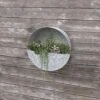 Panacea 14 In. D Metal Wall Planter Galvanized 1 Panacea 14 In. D Metal Wall Planter Galvanized -Abbo Garden Shop 7e493266 33e8 4680 aca2 16a64532c28a