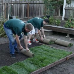 Digger's Root Guard 3 Ft. H X 25 Ft. D Silver Coated Wire Gopher Wire Roll 11 Digger's Root Guard 3 Ft. H X 25 Ft. D Silver Coated Wire Gopher Wire Roll -Abbo Garden Shop 7f0e8e6d 8722 41b9 8330 55cc6ce4c36b