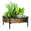 Panacea 10 D Metal Tabletop Succulent Tray With Stand Black -Abbo Garden Shop 888a8e5f ce53 4972 9553 6be0d8321dfe