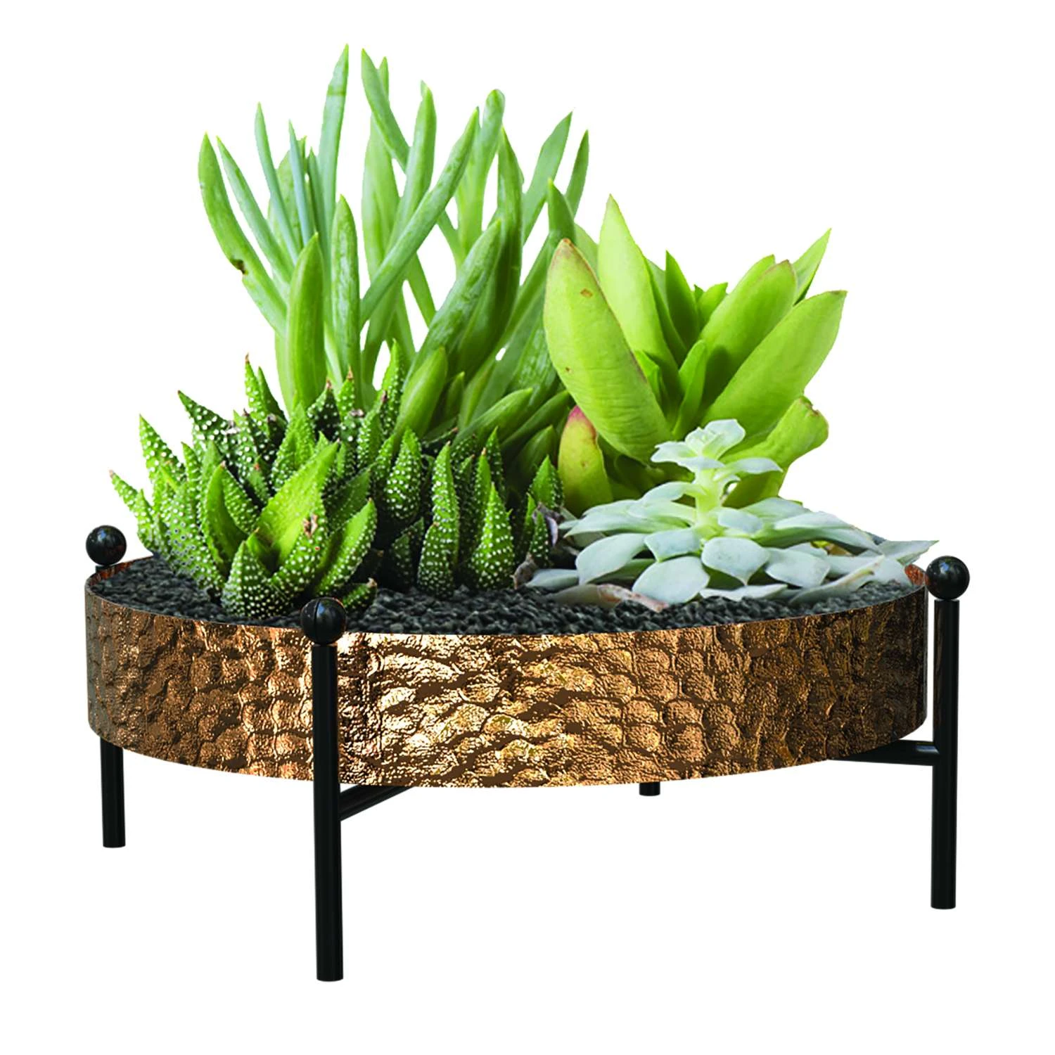 Panacea 10 D Metal Tabletop Succulent Tray With Stand Black 3 Panacea 10 D Metal Tabletop Succulent Tray With Stand Black