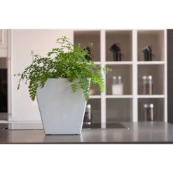 Novelty Artstone 10 In. H X 9.81 In. W X 9.81 In. D Resin Ella Planter White -Abbo Garden Shop 894dc032 04b9 4bbc 8c88 4d911def0067