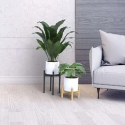 Panacea 8 In. H Assorted Wood Plant Stand