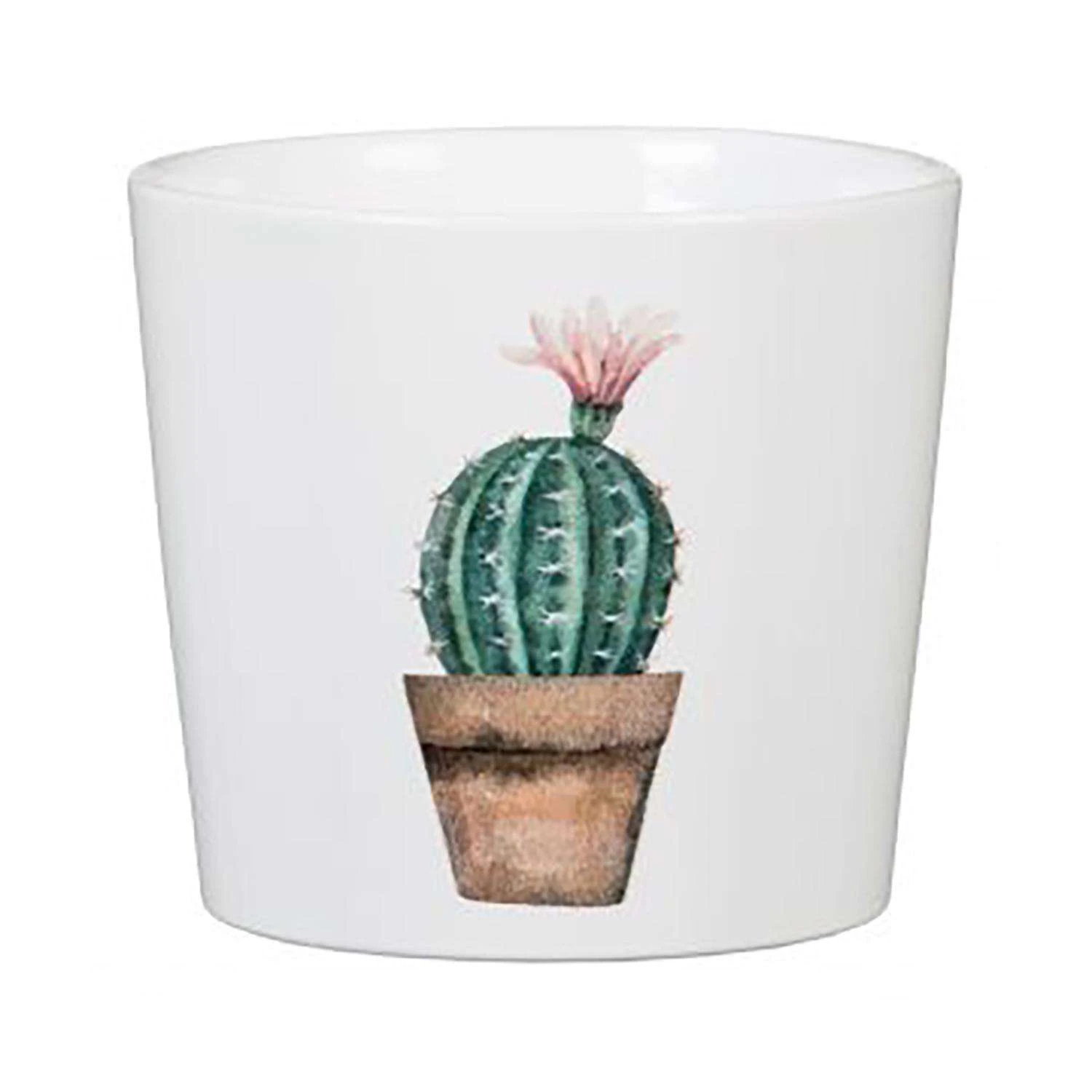 Scheurich Garden 4.25 In. D Ceramic Cactus Flower Pot Multicolored 3 Scheurich Garden 4.25 In. D Ceramic Cactus Flower Pot Multicolored