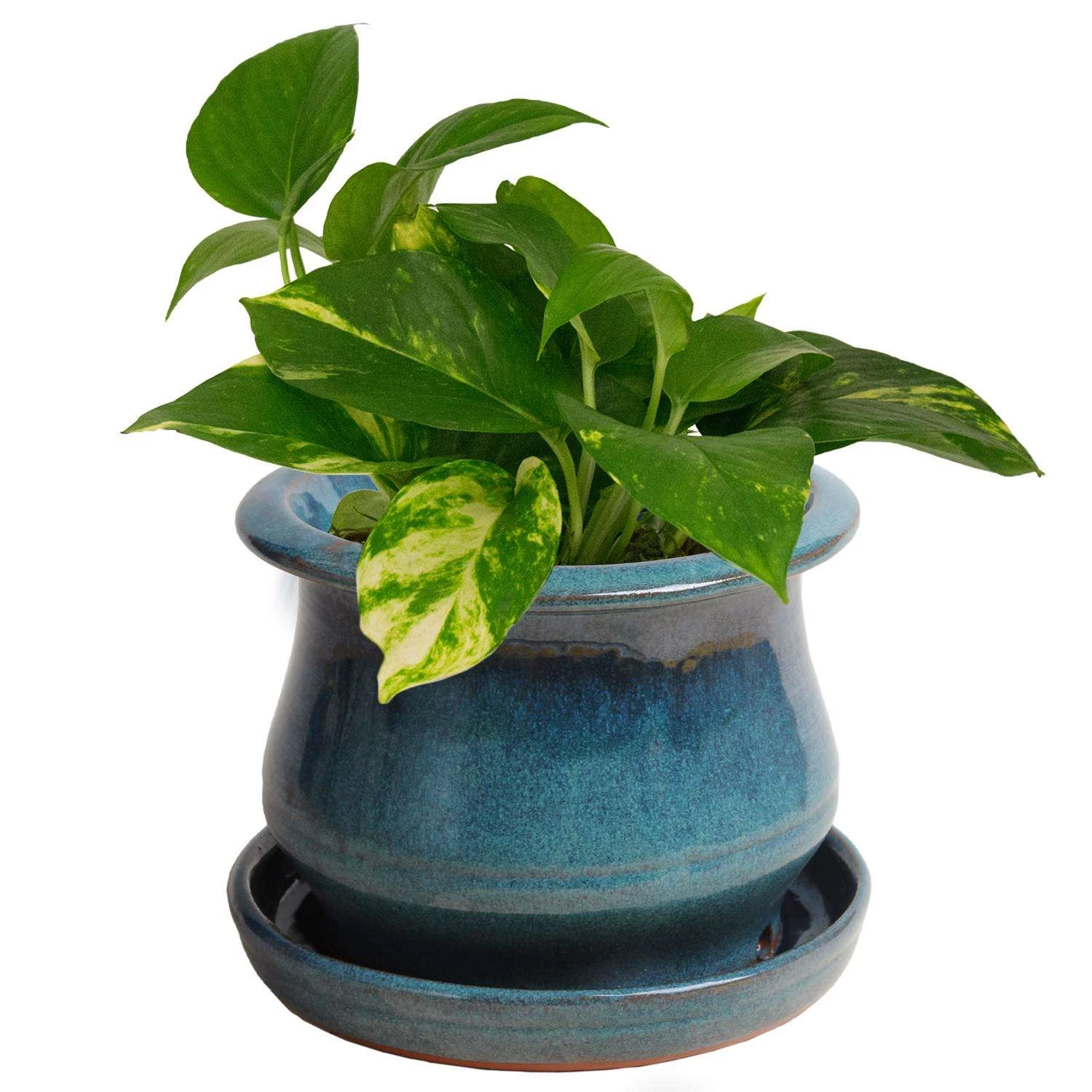Trendspot Low Bell 5.3 In. H X 6.9 In. W X 6.9 In. D X 7 In. D Ceramic Planter Aqua Blue 4 Trendspot Low Bell 5.3 In. H X 6.9 In. W X 6.9 In. D X 7 In. D Ceramic Planter Aqua Blue - Image 2