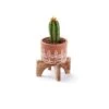 Matr Boomie 4.5 In. H X 3 In. D Terracotta Planter With Stand Multicolored -Abbo Garden Shop 95e93274 c4af 467d 9c38 4b98e108d580