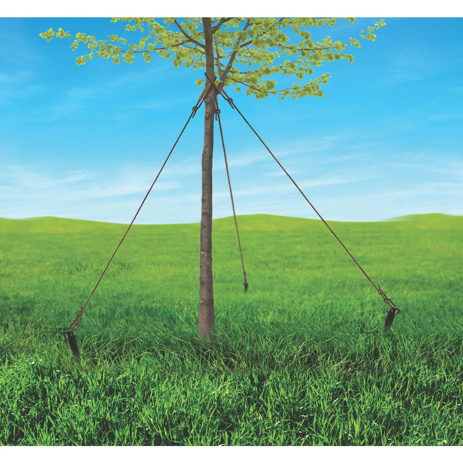 Bond 10 In. H Black Plastic Tree Stakes 4 Bond 10 In. H Black Plastic Tree Stakes - Image 2