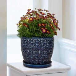 Trendspot Mediterranean 10.16 In. H X 11.9 In. W X 11.9 In. D X 12 In. D Ceramic Planter Blue 7 Trendspot Mediterranean 10.16 In. H X 11.9 In. W X 11.9 In. D X 12 In. D Ceramic Planter Blue -Abbo Garden Shop b7daf458 a274 4044 a65c 34efb5567f9c