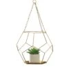 Summerfield Terrace Gold Iron 9 In. H Plant Hanger 1 Pk -Abbo Garden Shop cf89ac1c 69e0 4f91 b0a9 683515e36708
