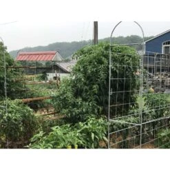 Trellis King 30 In. H Gray Steel Trellis -Abbo Garden Shop d367a7d9 b7d2 48ed 94e8 1f444942d1b1