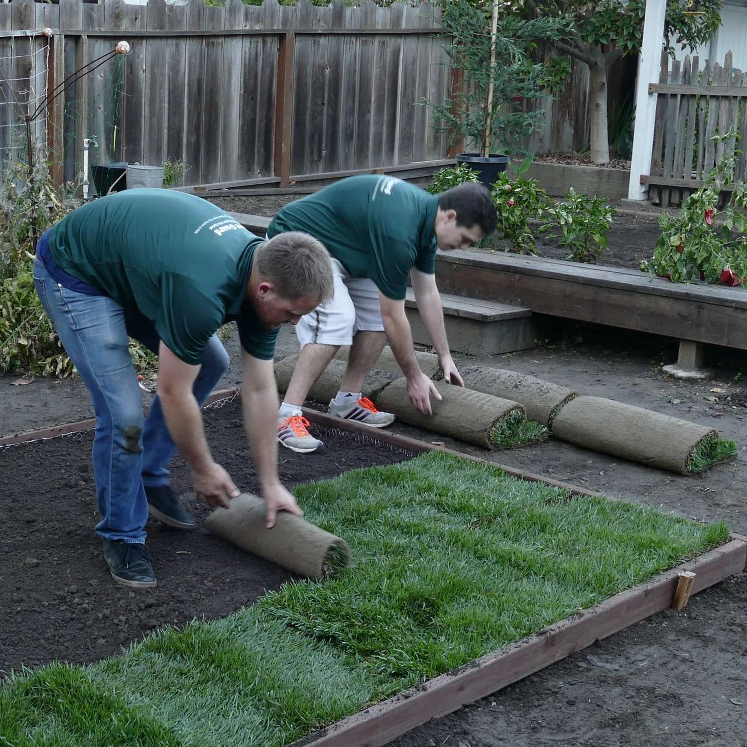 Digger's Root Guard 4 Ft. H X 25 Ft. D Silver Coated Wire Gopher Wire Roll 6 Digger's Root Guard 4 Ft. H X 25 Ft. D Silver Coated Wire Gopher Wire Roll - Image 5