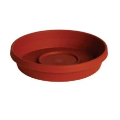 Bloem Terratray 2.7 In. H X 20 In. Dia. Resin Traditional Tray Terracotta Clay
