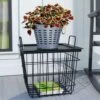 Panacea 14 In. H Black Steel Plant Stand