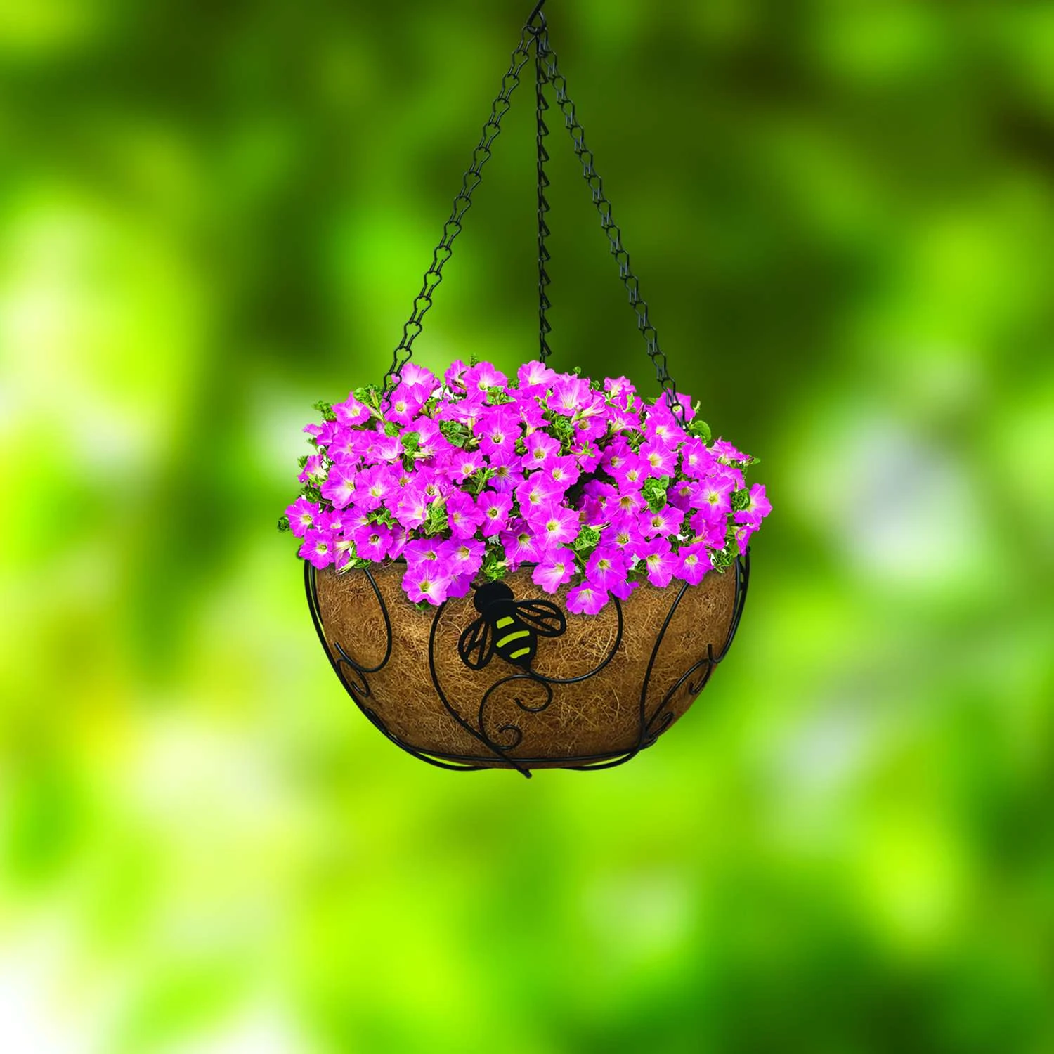 Panacea 8.37 H X 14 D Steel Bee-Conscious Hanging Basket Black 4 Panacea 8.37 H X 14 D Steel Bee-Conscious Hanging Basket Black - Image 2
