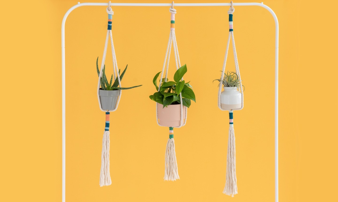 Abbo Garden Shop -Abbo Garden Shop knotted plant hangers